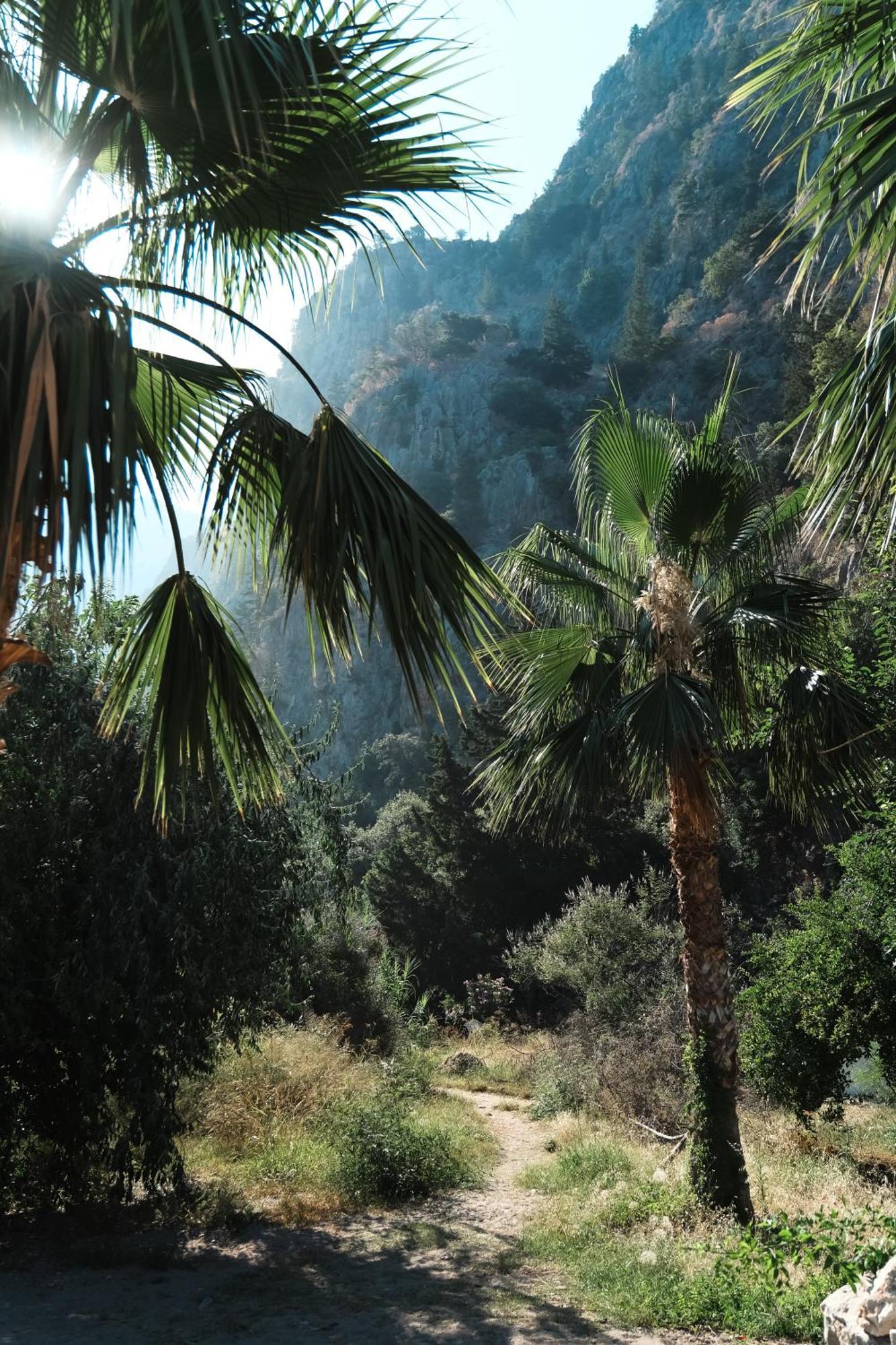 Butterfly Valley Glamping Luxury tent Fethiye