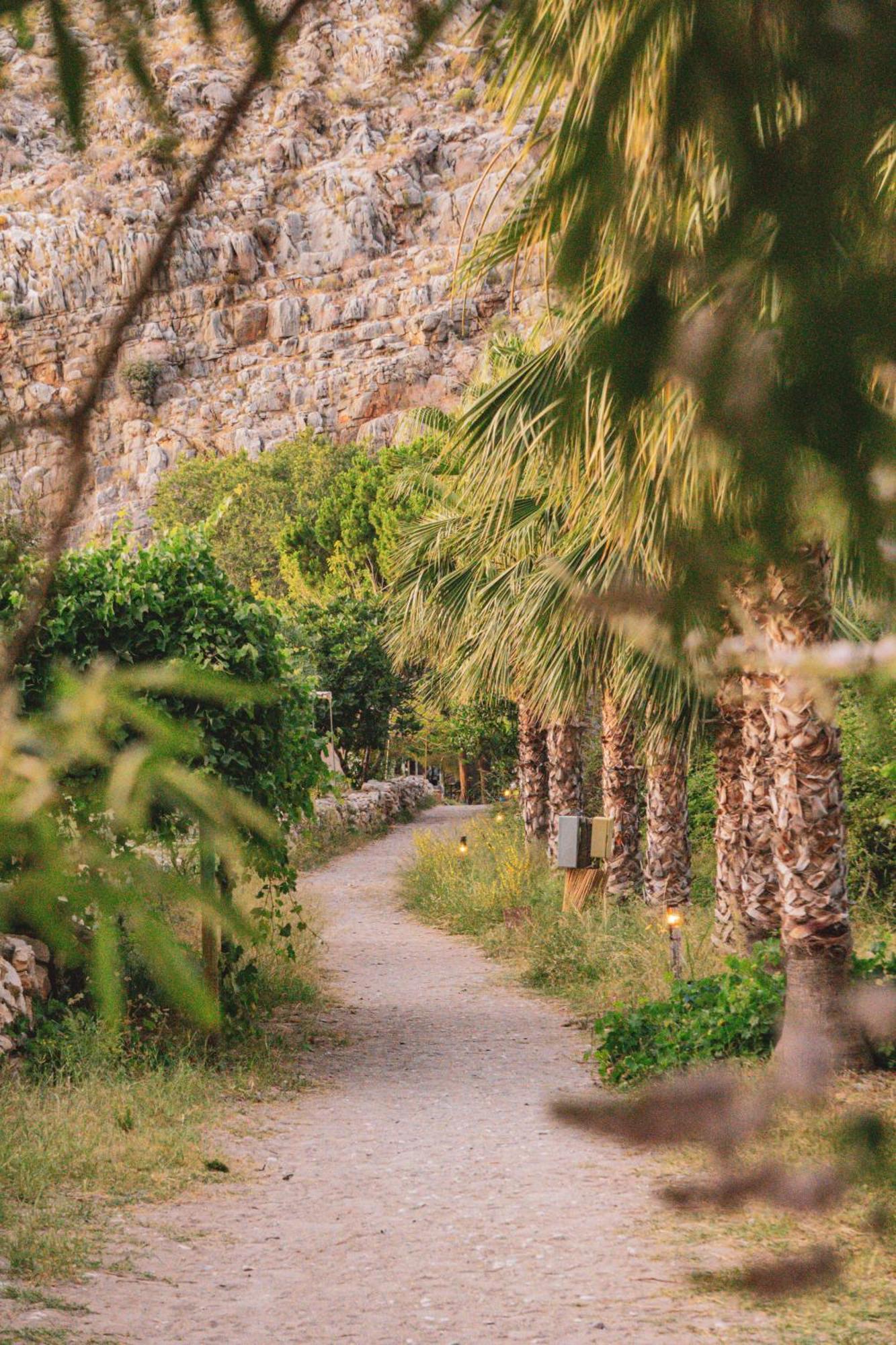 Luxury tent Butterfly Valley Glamping Fethiye