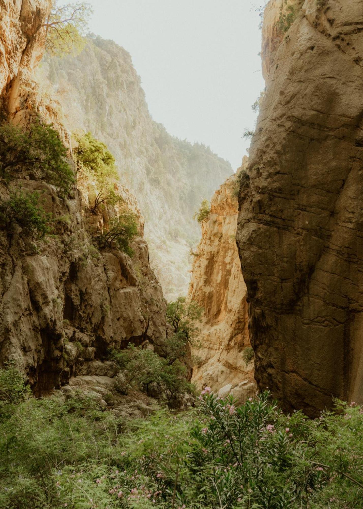 Butterfly Valley Glamping Fethiye